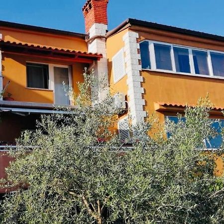 Marinici Kuca Za Odmor Vista Mare别墅 外观 照片